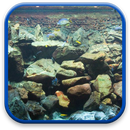 Aquarium Fonds d'écran Animés APK