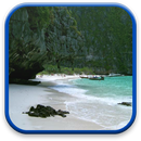 Beach Live Wallpaper APK