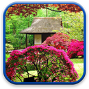 Garden Live Wallpaper APK