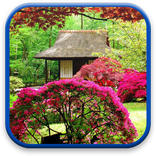 Garden Wallpaper Animasi