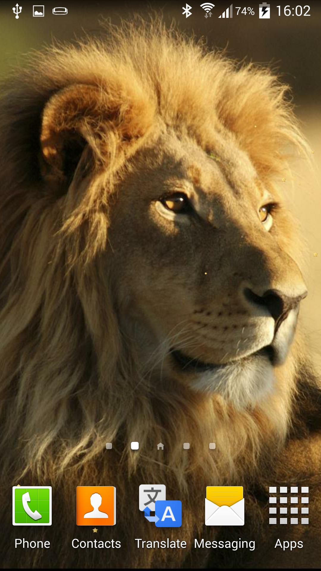 Lion APK for Android Download Lion APK for Android Download