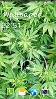 Marijuana capture d'écran 2