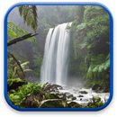 Nature Live Wallpaper APK