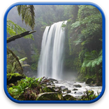 Nature Wallpaper Animasi