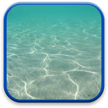 Summer Animasi Wallpaper