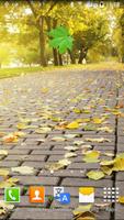 Leaf Live Wallpaper پوسٹر