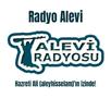 Alevi Radyosu APK