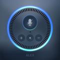 Alexa app: Amazon Echo Dot