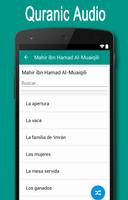 Muslim Audio Biblioteca captura de pantalla 1