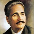 Allama Iqbal 아이콘