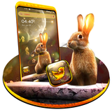 Rabbit in Space Launcher APK