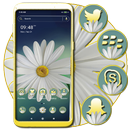 White Gerbera Daisy Theme APK