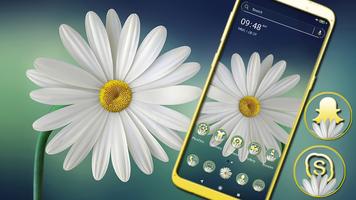 White Gerbera Daisy Theme الملصق