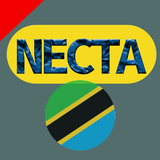 NECTA RESULTS