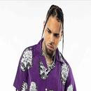 Chris brown all songs APK