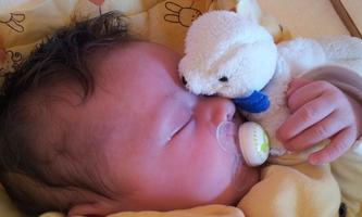 L'alimentation de votre bébé ภาพหน้าจอ 1