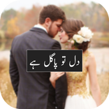 Best  Romantic Novel