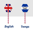 English To Tsonga Translator