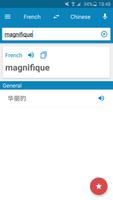 French-Chinese Dictionary Cartaz