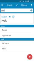 Maltese-English Dictionary plakat