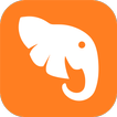 Focus for Mastodon icon