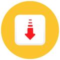 tube video downloader master
