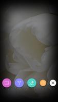 Photo Editor - PIP & Collage اسکرین شاٹ 1