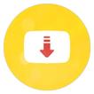 Video Downloader - Downloader