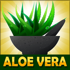 Aloe Vera Benefits! icône