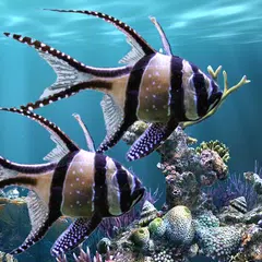 The real aquarium - LWP APK download