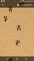 برنامه‌نما Scorpion 3D عکس از صفحه