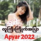 အပြာကားပေါင်းချုပ် icône