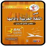 كتاب الادب للاستاذ حيقون BAC
