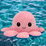 Szczęśliwa i zły ośmiornica