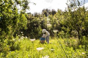 پوستر Beekeeping