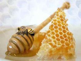 学习养蜂的艺术。 截图 2