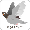 কবুতর পালন | Kobutor Palon