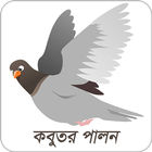 কবুতর পালন أيقونة