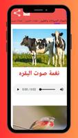 نغمات وأصوات الحيوانات والطيور Screenshot 3