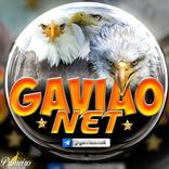 GAVIÃO NET