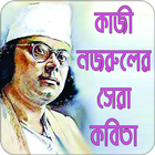 কাজী নজরুলের সেরা কবিতা biểu tượng