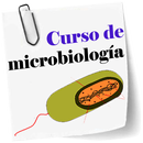 Curso de microbiología APK