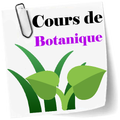 ”Cours et Quiz de Botanique