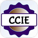 APK CCIE Exam Prep 2026