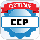 AWS CCP Exam Prep - Tests Zeichen