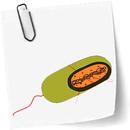 Mikrobiologiekurse und Quiz-APK