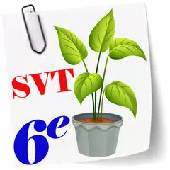 SVT 6ème