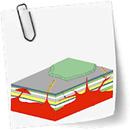 APK Cours de Pétrologie magmatique