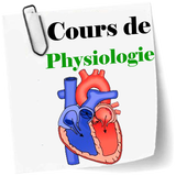 دورة علم وظائف الأعضاء أيقونة