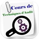 Cours de technique d Audit-APK
